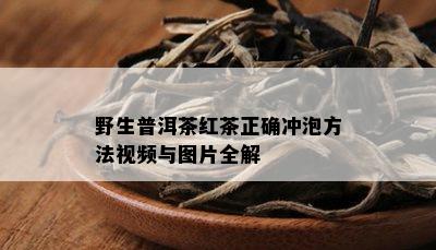 野生普洱茶红茶正确冲泡方法视频与图片全解