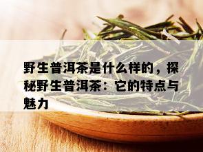 野生普洱茶是什么样的，探秘野生普洱茶：它的特点与魅力