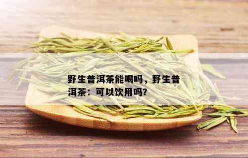 野生普洱茶能喝吗，野生普洱茶：可以饮用吗？