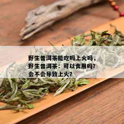 野生普洱茶能吃吗上火吗，野生普洱茶：可以食用吗？会不会导致上火？