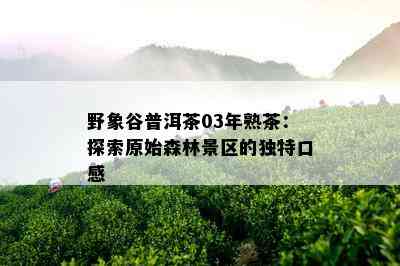 野象谷普洱茶03年熟茶：探索原始森林景区的独特口感