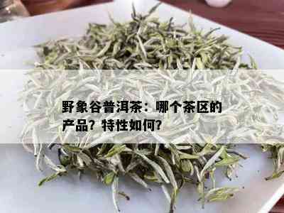 野象谷普洱茶：哪个茶区的产品？特性如何？