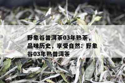 野象谷普洱茶03年熟茶，品味历史，享受自然：野象谷03年熟普洱茶