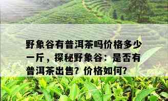 野象谷有普洱茶吗价格多少一斤，探秘野象谷：是否有普洱茶出售？价格如何？