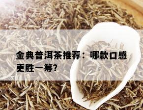 金典普洱茶推荐：哪款口感更胜一筹？