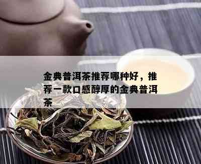 金典普洱茶推荐哪种好，推荐一款口感醇厚的金典普洱茶