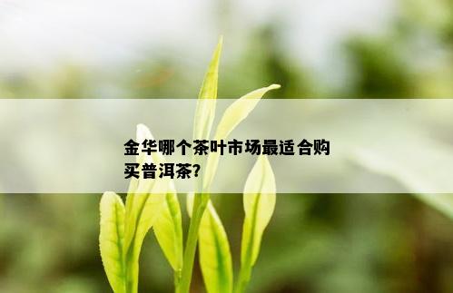 金华哪个茶叶市场最适合购买普洱茶？