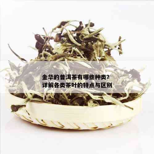 金华的普洱茶有哪些种类？详解各类茶叶的特点与区别