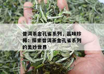 普洱茶金孔雀系列，品味珍稀：探索普洱茶金孔雀系列的美妙世界