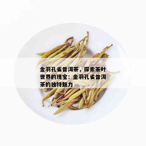 金羽孔雀普洱茶，探索茶叶世界的瑰宝：金羽孔雀普洱茶的独特魅力