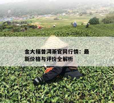 金大福普洱茶官网行情：最新价格与评价全解析