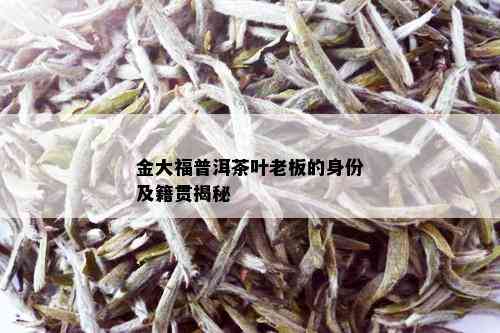 金大福普洱茶叶老板的身份及籍贯揭秘