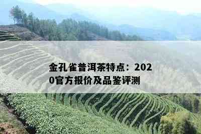 金孔雀普洱茶特点：2020官方报价及品鉴评测