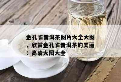 金孔雀普洱茶图片大全大图，欣赏金孔雀普洱茶的美丽：高清大图大全