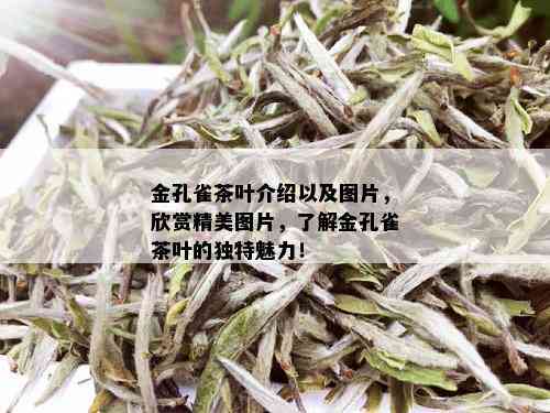 金孔雀茶叶介绍以及图片，欣赏精美图片，了解金孔雀茶叶的独特魅力！