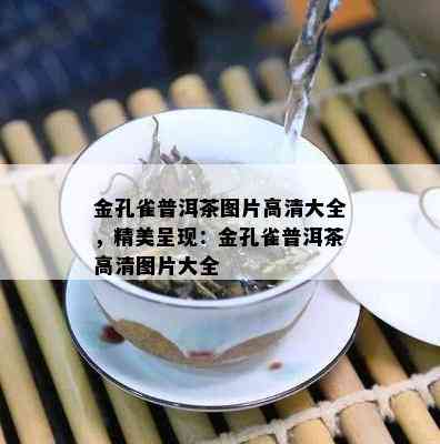 金孔雀普洱茶图片高清大全，精美呈现：金孔雀普洱茶高清图片大全