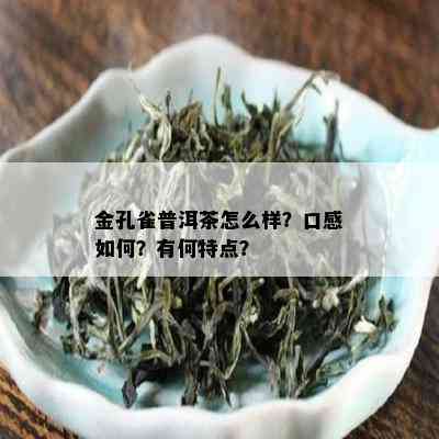 金孔雀普洱茶怎么样？口感如何？有何特点？