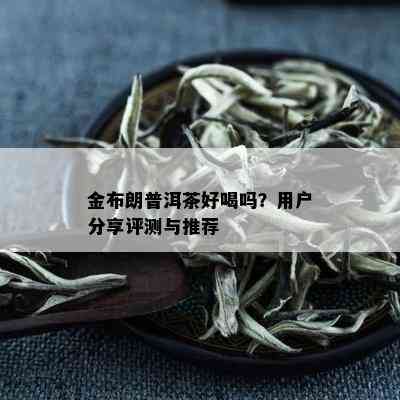 金布朗普洱茶好喝吗？用户分享评测与推荐