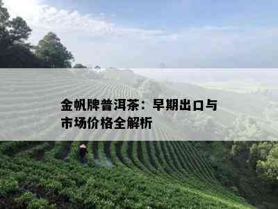 金帆牌普洱茶：早期出口与市场价格全解析