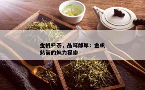 金帆熟茶，品味醇厚：金帆熟茶的魅力探索