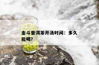 金斗普洱茶开汤时间：多久能喝？