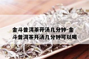 金斗普洱茶开汤几分钟-金斗普洱茶开汤几分钟可以喝