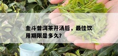 金斗普洱茶开汤后，更佳饮用期限是多久？