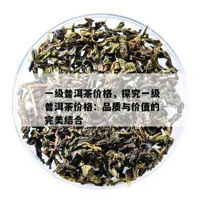 一级普洱茶价格，探究一级普洱茶价格：品质与价值的完美结合