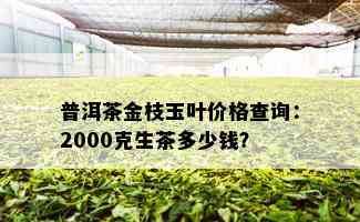 普洱茶金枝玉叶价格查询：2000克生茶多少钱？