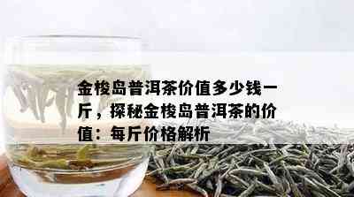 金梭岛普洱茶价值多少钱一斤，探秘金梭岛普洱茶的价值：每斤价格解析