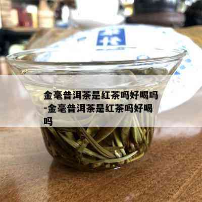 金毫普洱茶是红茶吗好喝吗-金毫普洱茶是红茶吗好喝吗