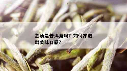 金汤是普洱茶吗？如何冲泡出美味口感？