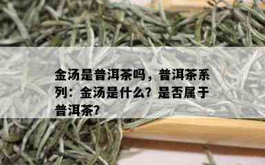 金汤是普洱茶吗，普洱茶系列：金汤是什么？是否属于普洱茶？