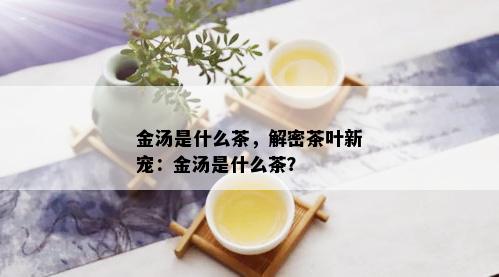 金汤是什么茶，解密茶叶新宠：金汤是什么茶？