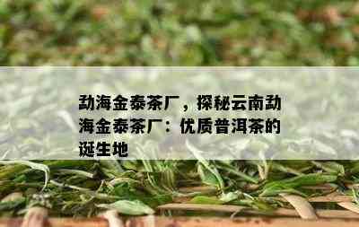 勐海金泰茶厂，探秘云南勐海金泰茶厂：优质普洱茶的诞生地