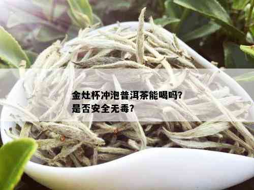 金灶杯冲泡普洱茶能喝吗？是否安全无？