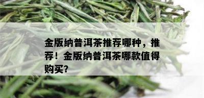 金版纳普洱茶推荐哪种，推荐！金版纳普洱茶哪款值得购买？