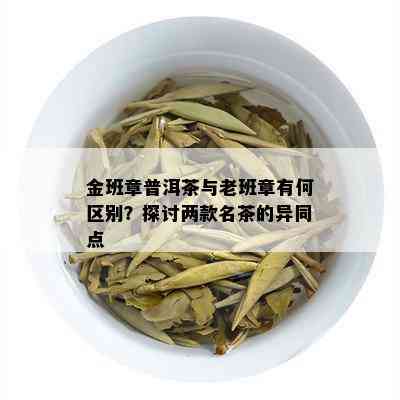 金班章普洱茶与老班章有何区别？探讨两款名茶的异同点