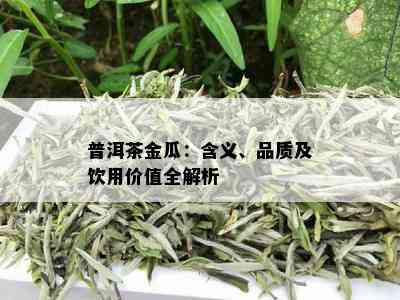 普洱茶金瓜：含义、品质及饮用价值全解析