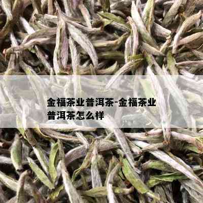 金福茶业普洱茶-金福茶业普洱茶怎么样