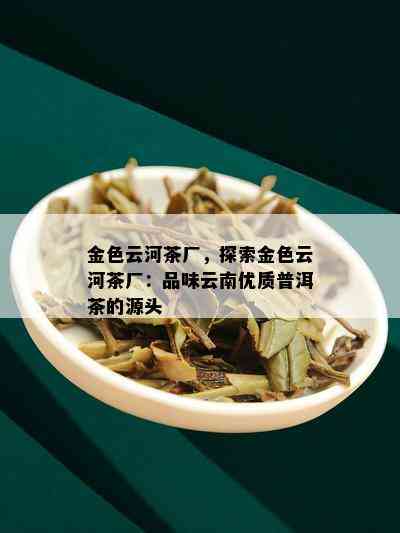 金色云河茶厂，探索金色云河茶厂：品味云南优质普洱茶的源头