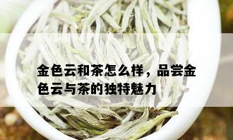 金色云和茶怎么样，品尝金色云与茶的独特魅力