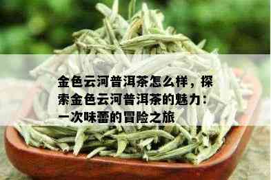 金色云河普洱茶怎么样，探索金色云河普洱茶的魅力：一次味蕾的冒险之旅