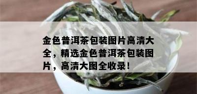 金色普洱茶包装图片高清大全，精选金色普洱茶包装图片，高清大图全收录！