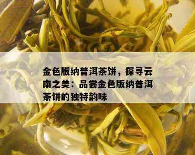 金色版纳普洱茶饼，探寻云南之美：品尝金色版纳普洱茶饼的独特韵味