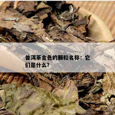 普洱茶金色的颗粒名称：它们是什么？