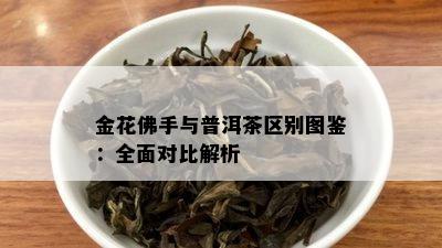 金花佛手与普洱茶区别图鉴：全面对比解析