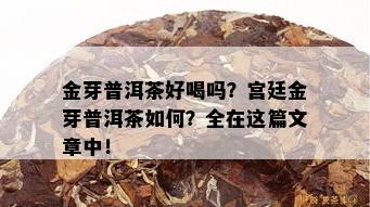 金芽普洱茶好喝吗？宫廷金芽普洱茶如何？全在这篇文章中！