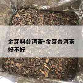 金芽料普洱茶-金芽普洱茶好不好