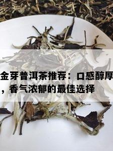 金芽普洱茶推荐：口感醇厚，香气浓郁的更佳选择